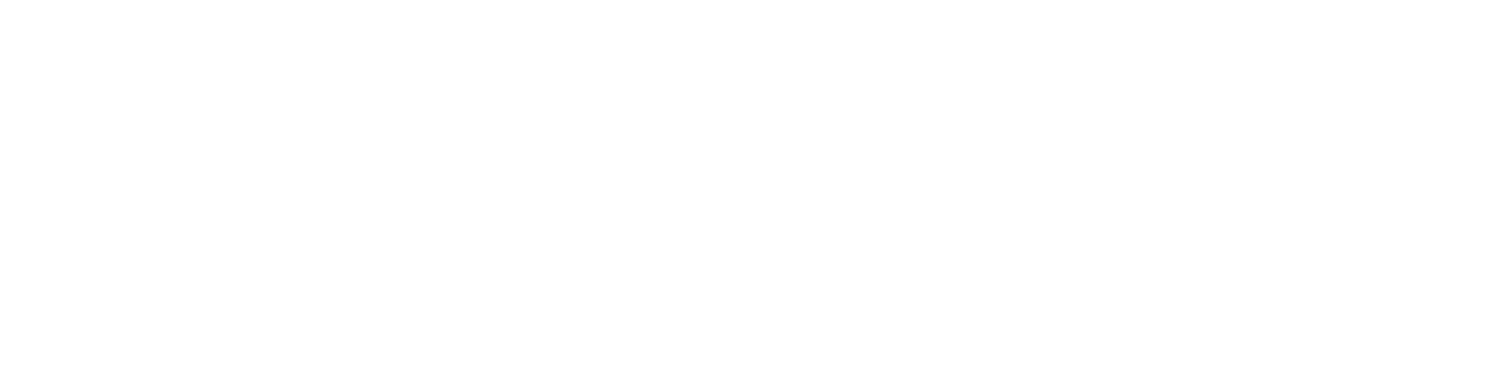 Vinci Studio