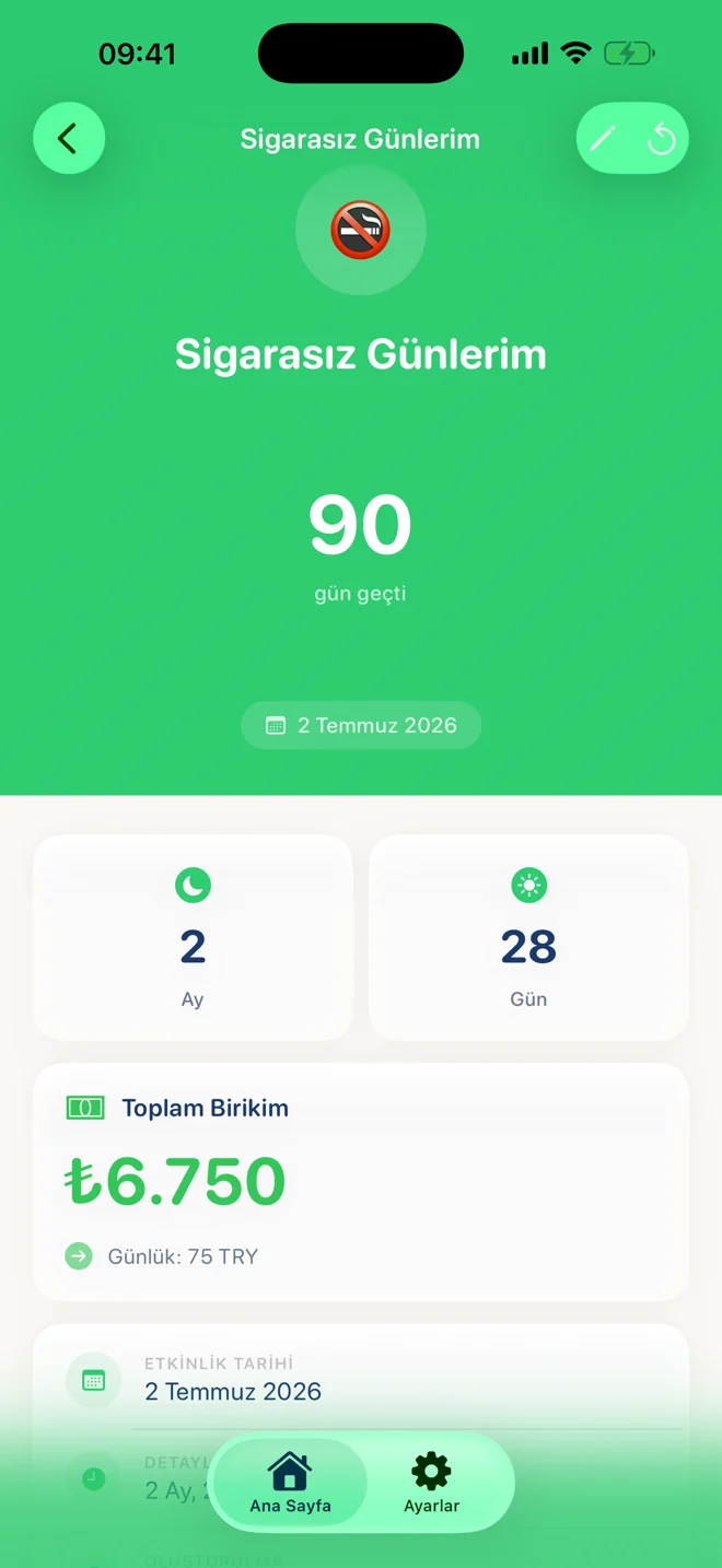 Zync tasarruf takibi ekranı